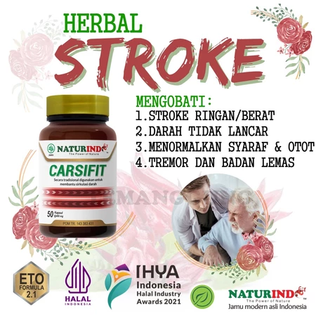 Obat stroke setrok ampuh herbal cina