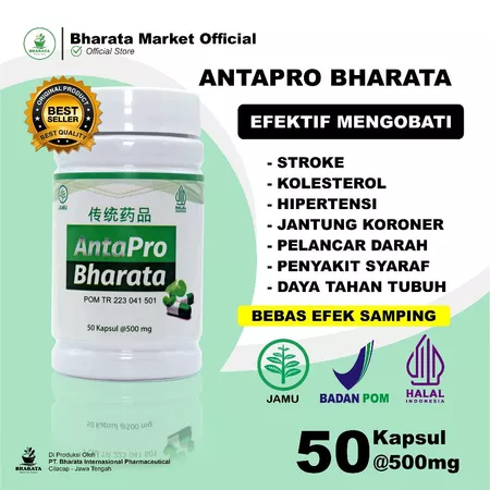 Obat Stroke Herbal Premium Obat Stro