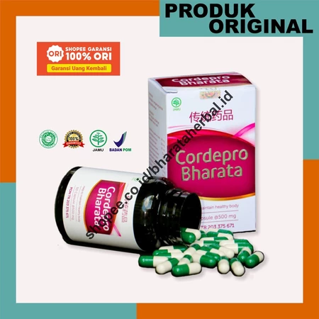 Obat Batu Ginjal Ampuh Peluruh Batu 