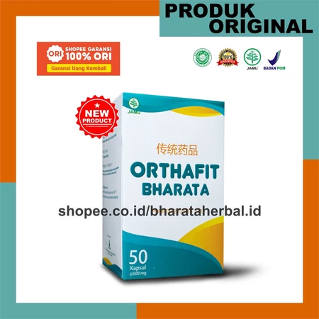 Obat Ginjal Herbal Ampuh Obat Gagal 
