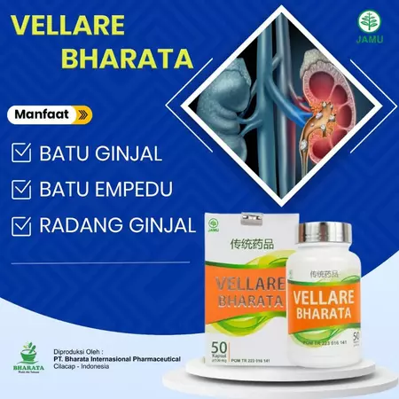 Vellare Bharata Obat Batu Empedu Bat