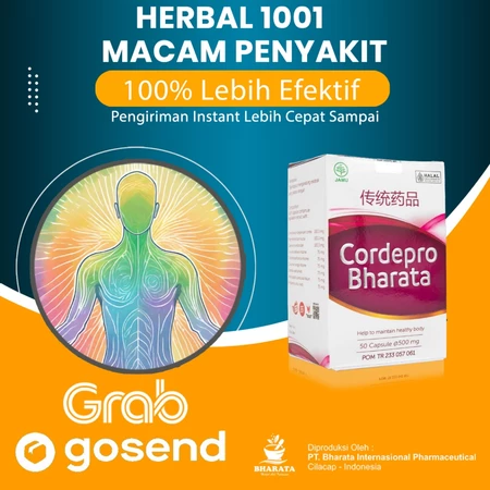 Obat Batu Ginjal Ampuh Peluruh Batu 