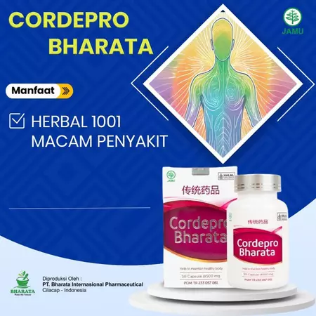 Obat Liver Obat Hepatitis ABCDE Obat