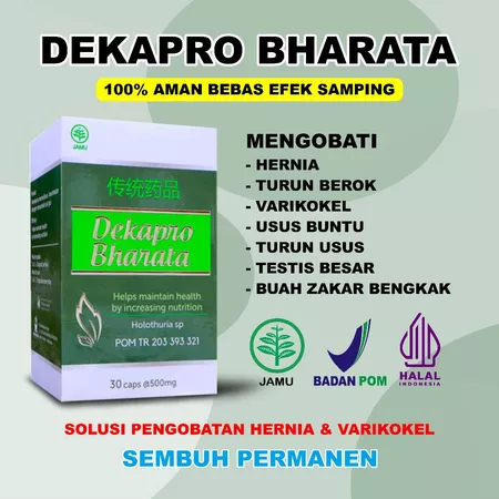 Obat Hernia Ampuh Turun Berok variko